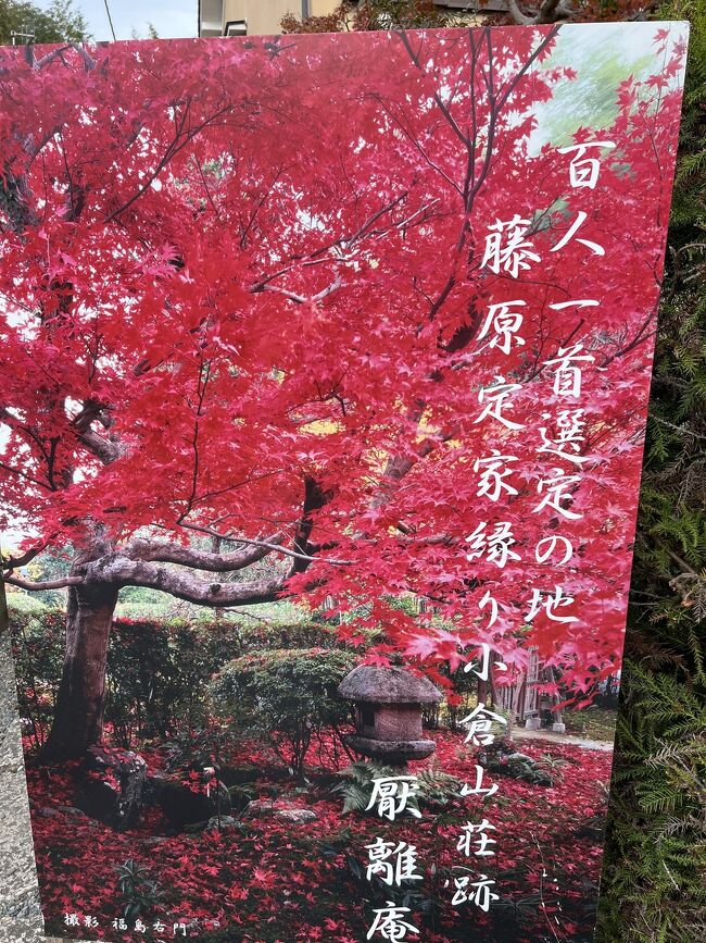 混雑してる嵐山中心から離れて奥嵯峨へ<br />厭離庵から祇王寺へそして瀬戸内寂聴さんの自宅寂庵へ