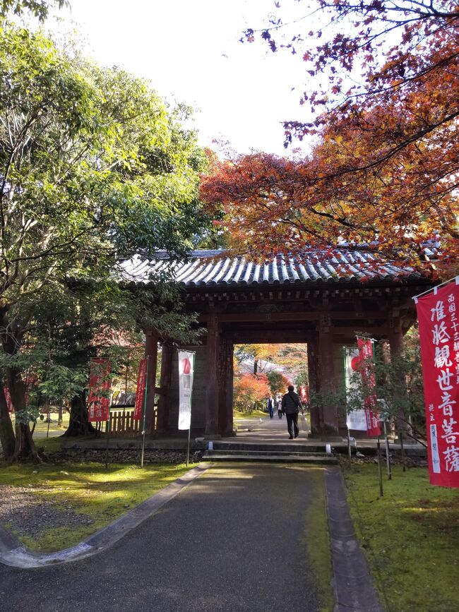 京都の旅もそろそろ終わりに近づいてきました。<br />今回は少し遠くのお寺を巡るのを目的にしています。先日の北の鞍馬寺に対して、今日は南の醍醐寺を目指します。