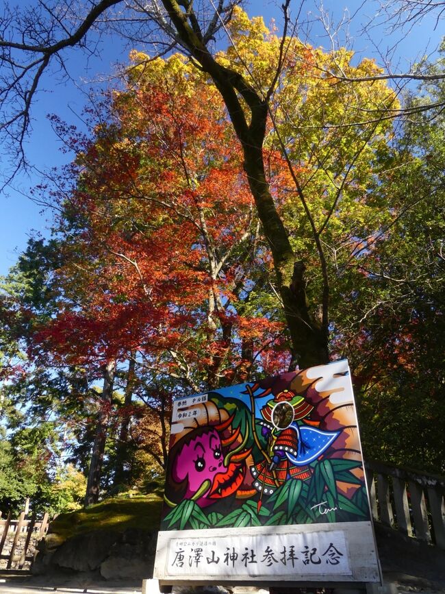 栃木県佐野市の「唐沢山」へ、紅葉を見に行きました。見頃は過ぎていて、赤い葉は色褪せ、枯れ進んで落葉進行中でした。それでも、まだ何カ所かは綺麗な紅葉や黄葉が残っていて、青空に恵まれたこともあり、山歩きを楽しめました。