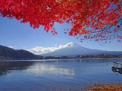 晩秋　河口湖周辺の紅葉、寸景