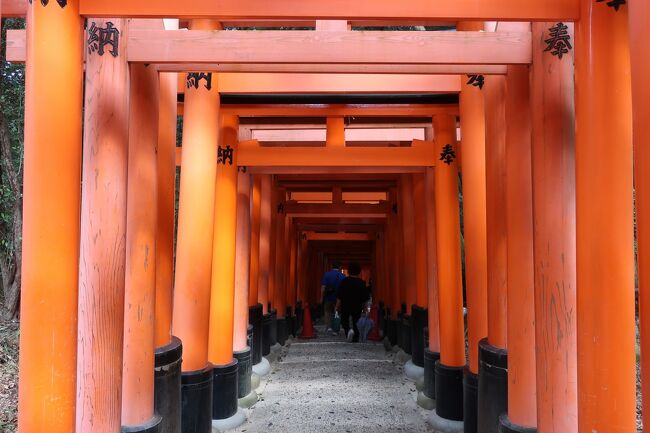 3度目の「どこかにマイル」は「伊丹」が当選!。「出雲」、「小松」、「福岡」、「伊丹」の中からでした。希望は「出雲」か「小松」でしたが、そう上手くはいかず。。。でも、「伊丹」なら京都に行きたいと!!!。ということで、今回の旅は、久々の京都をめぐる旅に♪。2泊3日で定番をまわろう!、そして1日3か所の寺・神社めぐり!と計画していましたが、これも上手くいかず。。。でも、絶対行きたいと思っていたところには行けたのでOKですね♪。観て、食べて、楽しんできました!!。今回は「伏見稲荷大社&祇園白川「なみ里」でランチ!」編です<br /><br /><飛行機><br /> JAL<br /><br /><ホテル><br /> 1泊目 ザ・プリンスホテル京都宝が池<br /> 2泊目 ANAクラウンプラザホテル京都<br /><br /><スケジュール><br /> 1日目 伏見稲荷大社、ラデュレ京都祇園店でカフェ、祇園白川なみ里でランチ、白川南通散策