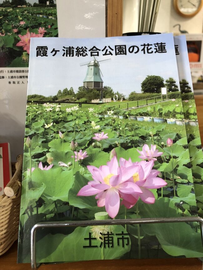 茨城県土浦市に用事があったついでに、レンコンを買って、さらについでに、霞ヶ浦にちょこっと寄ってみました。