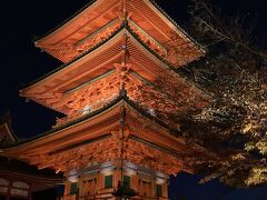 京都紅葉名所10景 D-2PM  金戒光明寺、真如堂&清水寺ライトアップ