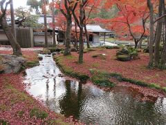 京都名勝ぶら歩き　檀林の寺鷹峯 常照寺　象山リゾート京都