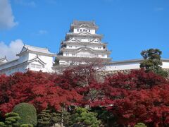 【2021年国内】ふらっと姫路。 #01 ～姫路城の白、好古園の赤～