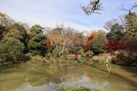 東京都心の紅葉・・都民の憩いの公園、有栖川宮記念公園をめぐります。