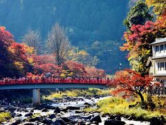 2021　紅葉を訪ねて（8）東海一の紅葉の名所～足助町・香嵐渓