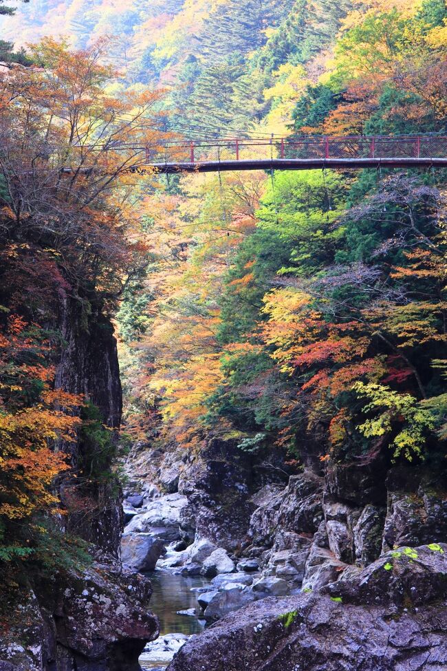 　コロナ禍のため日帰りで紅葉の見ごろのところ探したところ、天川村の紅葉が始まっているということで行ってきました。