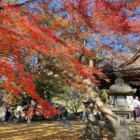 西南戦争の遺跡を巡るウォーキングと水前寺成趣園