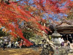 西南戦争の遺跡を巡るウォーキングと水前寺成趣園