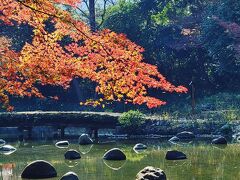 シニアトラベラー！小石川後楽園での秋満喫の旅