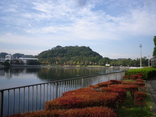 JR東日本が企画している「駅からハイキング」を再び使い、横浜の杉田あたりを歩いてきました。<br />JR新杉田駅で地図をもらって歩きますが、この地図が不便で、並行して走っている京急がライバルなので、京急の駅などが載っていない恣意的なものです。<br />横浜南部市場でお昼がいただきたいので、JRのすすめるコースの逆回りで歩きます。