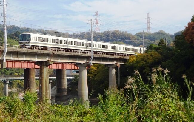 　今回は1年ぶりに阪神地方を周遊しました。1日目は新幹線で京都へ、そこから奈良線、関西線、大阪東線と乗り鉄、2日目は神戸、須磨、六甲で紅葉と夜景を楽しむ。3日目は子どものころ住んでいた西宮で紅葉めぐり。4日目は大阪で撮り鉄ののち帰る、という行程です。<br />　旅程に余裕を持たせて、現地で見たいところを巡るという方式でとにかく阪神の寺社や山々の紅葉を見てきました。<br />　3日目と最終日4日目は大阪府が舞台。3日目夕方、大阪の天王寺公園、鶴橋で焼肉と韓国料理、難波のビックカメラにちょっと寄ってホテルに戻る。4日目は、大和路線の撮り鉄ポイントである大阪府柏原市高井田で鉄道撮影、大和路線と近鉄大阪線を撮影した後、近鉄で大阪に戻り、新大阪から新幹線で帰宅しました。それではいよいよ最終章の第5部を紹介します。<br /><br />　３日目の行程その３<br />１．大阪ｋら地下鉄で天王寺へ<br />２．天王寺公園散策、鶴橋で夕食、難波でちょっと買い物<br />　4日目の行程<br />１．大和路線で高井田駅へ<br />２．鉄道撮影<br />３．近鉄大阪線で難波へ、地下鉄で新大阪、新幹線で帰る。