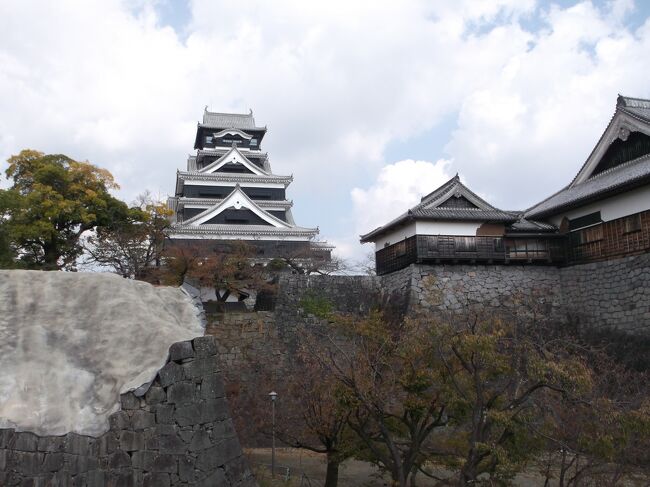 阿蘇からほぼ貸し切り状態のバスで熊本桜町バスターミナルに着いたのは、11月4日お昼前のことでした。40年前、九州旅行で訪れた熊本城は満開の桜の中。お花見の季節だったので、開城時間を延長していて、美しいお城を堪能したことを思い出します。<br /><br />そして今。だいぶ復興がすすんだとはいえ、ところどころ残る5年前の地震の傷跡に胸が痛みます。がんばれ熊本城！