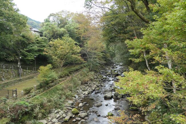 2021年10月30日-11月7日、静岡県と長野県に行きました♪<br />駿河湾と富士山、諏訪湖と上高地と八ヶ岳、晩秋の山岳や高原、温泉やグルメ、紅葉をたっぷりと楽しんできました♪<br /><br />☆Vol.15　10月31日：湯ヶ島温泉♪<br />湯ヶ島温泉の「アルカナイズ」。<br />今日一日はのんびりと過ごす。<br />まずは運動のためにハイキング。<br />昨年と同じ湯道ハイキング。<br />湯道は大正から昭和にかけて文豪たちが歩いた道。<br />狩野川の渓流、美しい橋、橋からの風景、畑や果樹園、つり橋、森の中、上水路の清らかな水の流れ。<br />素晴らしい風景を眺めながら歩く爽快感。<br />ゆったりと歩いて眺めて♪