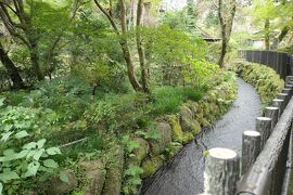 秋の伊豆と信州の優雅な旅♪　Vol.16 ☆湯ヶ島温泉：昭和のロマン「湯道」♪