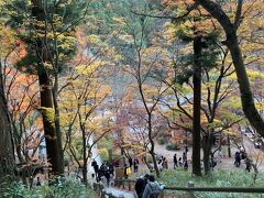 ミカン狩り～香嵐渓の紅葉