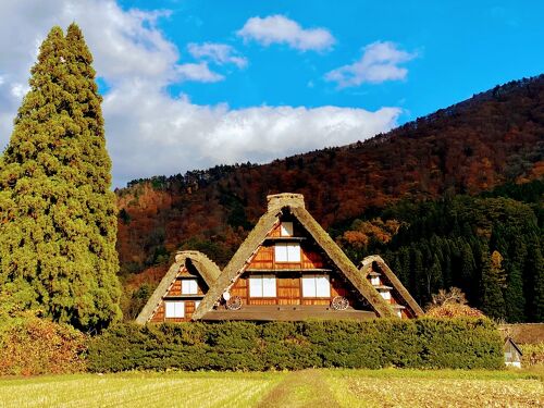 紅葉狩りの旅☆世界遺産「白川郷」④』白川郷(岐阜県)の旅行記