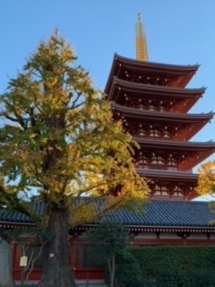 天気が良かったので上野公園のイチョウ並木をチラッと見て、アメ横を通り過ぎ、そのまま歩いて浅草へ。今回の目的は子供が江戸切子の体験をしてみたい、というので久々に浅草に行って来ました。紅葉見て、お昼は天丼食べて、お参りして。結婚式で人力車での花嫁道中も。久々に楽しんで来れました。