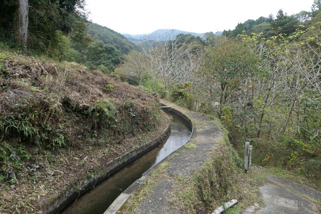 2021年10月30日-11月7日、静岡県と長野県に行きました♪<br />駿河湾と富士山、諏訪湖と上高地と八ヶ岳、晩秋の山岳や高原、温泉やグルメ、紅葉をたっぷりと楽しんできました♪<br /><br />☆Vol.19　10月31日：湯ヶ島温泉♪<br />湯ヶ島温泉の「アルカナイズ」。<br />今日一日はのんびりと過ごす。<br />まずは運動のためにハイキング。<br />昨年と同じ湯道ハイキング。<br />湯道は大正から昭和にかけて文豪たちが歩いた道。<br />狩野川の渓流、美しい橋、橋からの風景、畑や果樹園、つり橋、森の中、上水路の清らかな水の流れ。<br />素晴らしい風景を眺めながら歩く爽快感。<br />ゆったりと歩いて眺めて♪