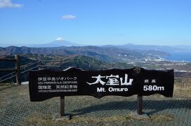 大室山からの眺望（東京スカイツリーも見えました）