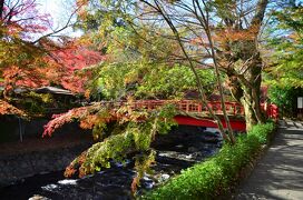 紅葉と温泉と食を楽しむ２泊３日の旅（１）～中伊豆の紅葉めぐり