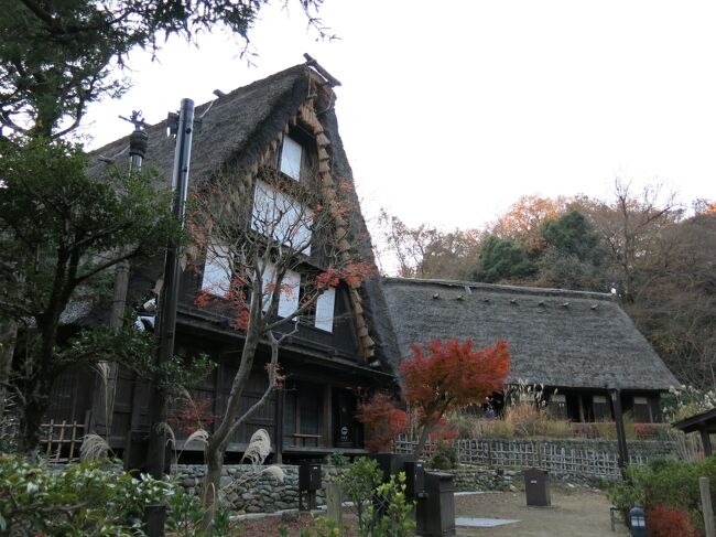 ある12月の土曜日。登戸にある生田緑地に行ってみました。<br /><br />生田緑地は、小田急線の向ヶ丘遊園駅から歩いて15分ほどの場所にあります。<br />園内には、古民家を展示した屋外スペースや、手軽なハイキングが楽しめる場所、さらに岡本太郎美術館もあって充実していました!<br /><br />ちょうど紅葉が真っ盛りの時期に訪れたので、素敵な1日を過ごすことができました。