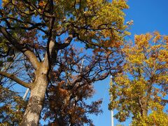 東京・冬の武蔵関公園～新しいカメラで試し撮り