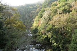 秋の伊豆と信州の優雅な旅♪　Vol.29 ☆湯ヶ島温泉アルカナイズ：朝日が差し込む露天風呂♪