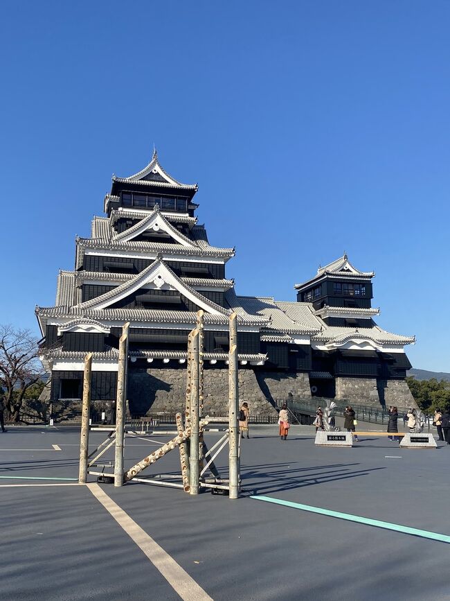 ホテルから歩いて熊本城へ行きました。<br />途中に神社がありましたので、参拝しました。<br />加藤清正公像を見て、坪井川に架かる橋を渡り、城彩苑のわくわく座券売所でチケットを購入しました。<br />無料シャトルバスがありますが、徒歩5分とのことなので、歩いて天守閣に行きました。<br />階段ですが、他のお城と比べて、急でも狭くもないので、快適でした。<br />開城と同時に行ったので、人も少なくゆったり見れました。<br /><br />お城の近くでランチして、ホテルに預けた荷物を受け取り、混雑した市電で熊本駅前に着きました。<br />肥後よかモン市場で夕食用のお弁当と九州新幹線で食べる用にモスチキンを購入。<br />帰りは九州新幹線「さくら」に乗車しました。