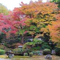 京都でハイアットリージェンシーに泊まる　その2「泉涌寺・今熊野神社」