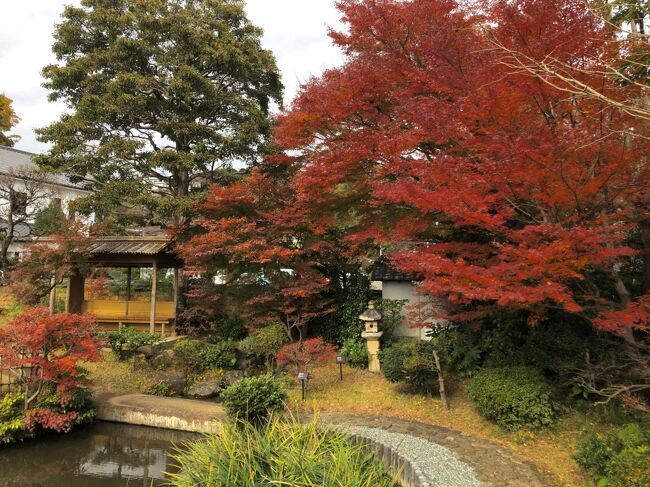 令和３年度 文化財建造物 秋の観覧会　２日目