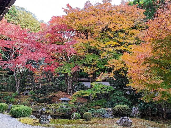 京都でハイアットリージェンシーに泊まる　その2「泉涌寺・今熊野神社」