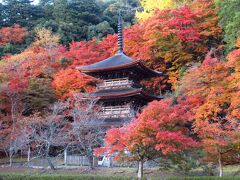 中山寺と松尾寺、紅葉の寺・金剛院を訪ねて