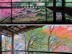 京都の紅葉その②：「床」と「水鏡」、どっちのもみじがきれい？どっちもきれい！