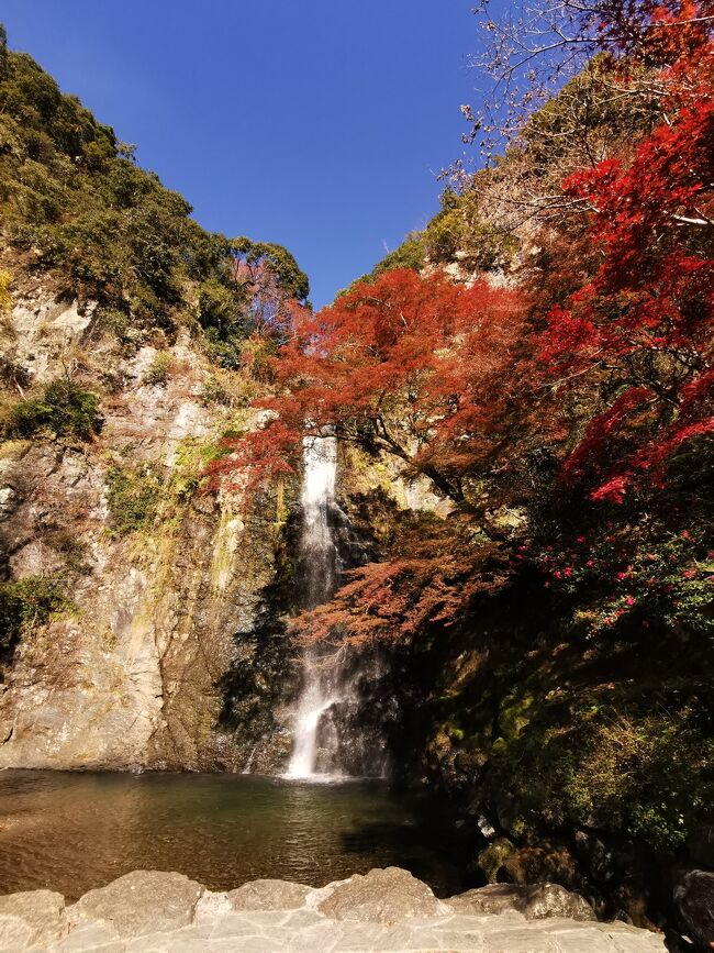 3年半ぶりの大阪<br />やっぱり、旅はイーね♪