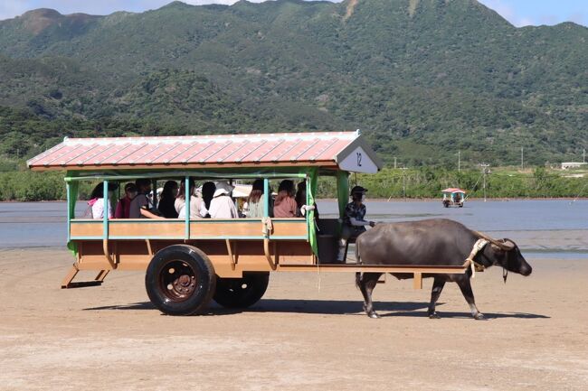 今年初めての一人旅は沖縄石垣島メインののんびり旅。アクティビティも何もしないので、結構暇な旅になりました。<br />石垣島も人出は少なかったのですが、週末くらいから観光客が増えてきた感じでした。関西方面からとみられる修学旅行生も見かけました。<br />