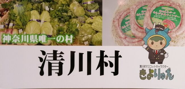 神奈川県で行ったことのない<br />・愛川町<br />・清川村<br />鉄道は走っていない、どうやって行くのか・・。<br />レンタカー借りてしまえば簡単だけれども、なるべく公共交通機関で行く方法は～～<br /><br />愛川町も清川村も、宮ケ瀬湖の近く。<br />一筆書きルートが取れそう、<br />ということもわかり、バスの本数もそこそこあるので、日帰りで行ってみることにしました。<br /><br />わたしの住んでいる埼玉県。<br />隣接している都道府県は1都6県（東京・千葉・茨城・栃木・群馬・山梨・長野）、Gotoトラベルの地域共通クーポンも埼玉県宿泊だと埼玉含めて8都県で使えるのに、神奈川県とは接していないんですよね。<br />なにげに近そうで遠い神奈川。<br /><br />日帰りなので天気をながめつつ日程を定めます。<br /><br /><br />■ルート<br />新宿－本厚木－宮ケ瀬（清川村）<br />半原（愛川町）－本厚木－海老名－羽沢横浜国大－新宿<br /><br />■ちょこっと観光<br />・宮ケ瀬湖<br />・宮ケ瀬ダム<br />・インクライン<br /><br />■使ったきっぷ<br />・宮ケ瀬ダムハイキングパス（小田急、神奈中バス）<br />・ノーマル運賃（相鉄、JR）