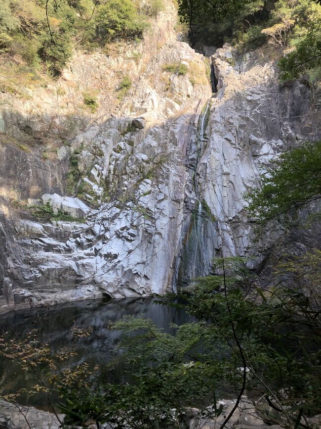 布引の滝へ。森林ハイキング、紅葉狩りしながら、滝、貯水池を目指します。