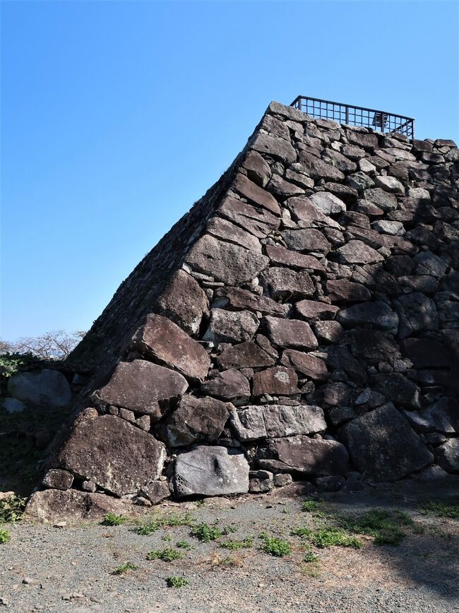 福岡城（ふくおかじょう）は、筑前国那珂郡警固村（現在の福岡市中央区）に築かれた江戸時代の日本の城。別名、舞鶴城、石城。現在、城跡は舞鶴公園と大濠公園となっている。 1957年（昭和32年）8月29日 - 城跡が国の史跡に指定された。<br /><br />江戸時代初頭、関ヶ原の戦いで功績のあった外様大名の黒田長政が、警固村の丘陵地に築いた城である。以降、明治まで福岡藩黒田氏の居城となった。<br />1601年（慶長6年）には築城が開始され、7年後の1607年（慶長12年）に竣工した。幕末の嘉永・万延年間に、11代藩主、黒田長溥により大改修が行われた。 古くから商人の町として栄えていた博多の西側に位置する。 <br /><br />城跡には現存櫓や移築された櫓や城門、復元された櫓や城門が点在し、南二の丸多聞櫓とそれに続く南二の丸南隅櫓は国の重要文化財に、伝潮見櫓・大手門（下の橋大手門・渦見門）・移築復元の祈念櫓・母里太兵衛邸長屋門が福岡県指定文化財に、名島門が福岡市文化財にそれぞれ指定されている。また、南二の丸多聞櫓に続く北隅櫓が復元されている。 <br />本丸・二の丸・三の丸は20年から30年の長期計画で城跡の復元整備を行っていく予定としている。 <br /><br />梯郭式の平山城で、本丸の南西に南丸（南二の丸）、北東隅に同じような規模で東二の丸、この2つを結ぶようにして囲む二の丸、二の丸の西から北東に三の丸が囲む配置であった。建物は47基の櫓や10棟の城門を配し、縄張りの範囲は約24万平方メートルにおよぶ。東側に那珂川をもって堀とし高石垣を南北に長く築き、また西側は干潟の「草ヶ江」を大きな池沼堀として活用した。城下町は城の北側（博多湾側）に東西に長く開かれた。 <br /><br />大天守台・中天守台・小天守台の3つからなる連立式の天守台。大天守台は東西約25メートル、南北約22メートルの大きさで、東側に中天守台と小天守台が連なる。天守台周辺の発掘調査では瓦片の出土があり、天守台に建物があったことは確実視されているが、天守が存在したという事実は確認されていない。従来の通説では、幕府への遠慮から天守は造築されなかったとされている。天守を解体し築城資材として投入することによって幕府の信任を得ようとしたと言う説も上がっている。<br />福岡市は、歴史資料が不足しているため天守の復元は困難との見解を福岡市議会にて示している。<br />（フリー百科事典『ウィキペディア（Wikipedia）』より引用）<br /><br />城百科　より　（参考になります）<br />http://www.hat.hi-ho.ne.jp/moch/castle/castle_34.htm<br /><br />舞鶴公園は古代・中世・近代・現代史が詰まった歴史の宝庫、桜・蓮など花見の名所。<br />舞鶴公園は福岡市の中心から徒歩15分の公園で、隣接の大濠公園、護国神社、西公園と合わせ広大な緑地と豊富な文化財や歴史的遺跡を持ちます。福岡城址・鴻臚館(こうろかん)跡を訪ねたり、散策や気分転換の場として親しまれている公園です。<br />http://www.sumai1616r.com/maizuru/index.html　より引用<br /><br />福岡城跡については・・<br />https://bunkazai.city.fukuoka.lg.jp/cultural_properties/detail/62<br />