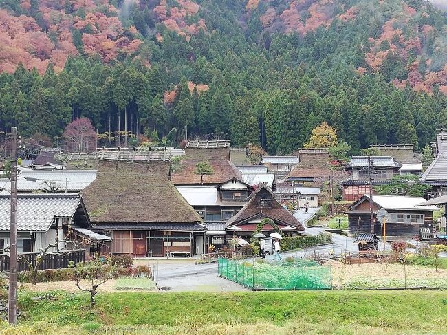 たまにはベタな観光旅行2111　「京都府民割で民宿に泊まって、重伝建　“美山かやぶきの里”＆民宿みやま」　～南丹・京都～