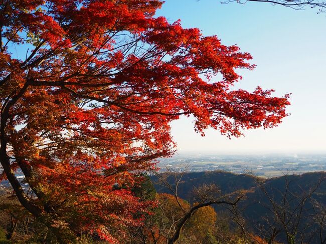 昨年１１月、旦那とご飯食べに出かけついでに、どこかの紅葉を見ようと調べたら、ちょうど栃木市の太平山の紅葉が見ごろらしいので、行ってみました。<br /><br />太平山の紅葉見た後は、大平山神社に参拝もしてきました。<br /><br /><br /><br /><br />