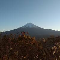 富士山に会いたい！その2・富士樹海編。