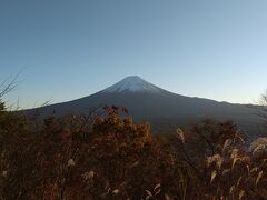 富士山に会いたい！その2・富士樹海編。