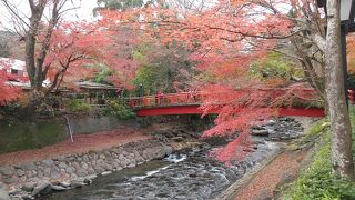 ふじのくに旅行券を使って、女3世代 中伊豆の旅  《2日目・修善寺編》