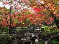 荻窪・大田黒公園の紅葉