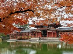 今年こそ京都へ！12月でもまだまだ紅葉を楽しめました④雨の中、下鴨神社と平等院