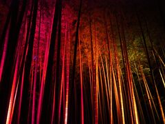 若竹の杜のライトアップイベント「Bamboo Winter Lights 2021」を見てきました