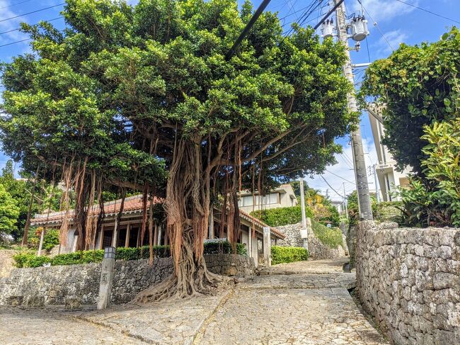 ピーチのセールチケットで、福岡から日帰り沖縄に行ってきました!<br /><br />最近沖縄料理にハマってまして、ゴーヤチャンプルとかにんじんシリシリをよく作ってます。<br />「やっぱり本場で食べたい!」と言う思いだけで、ちょっと日帰りで行ってきました。<br /><br />日帰りとは言え約10時間滞在できるので、食に観光に大満喫の日帰り旅でした(^^)