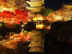 今年こそ京都へ！12月でもまだまだ紅葉を楽しめました①東寺のライトアップ